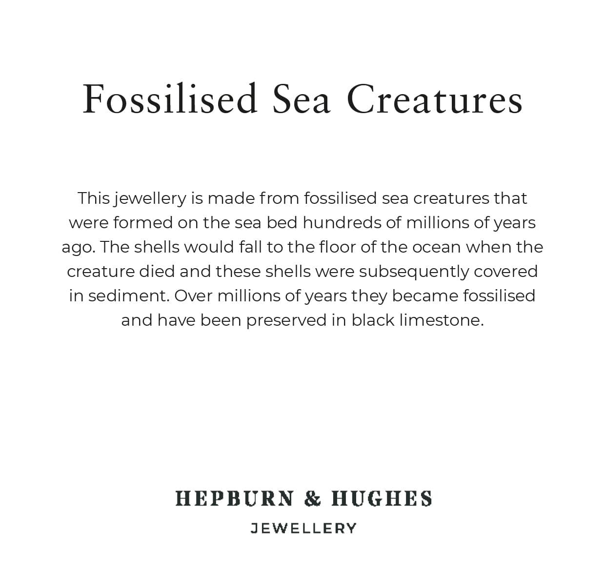 Hepburn and Hughes Fossilised Sea Creatures Pendant | 35mm Rectangle | Sterling Silver