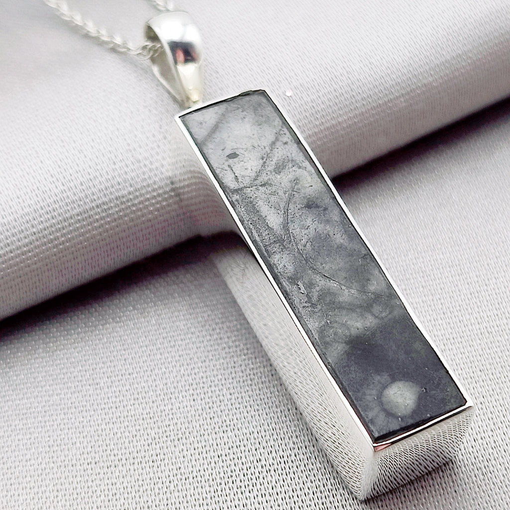 Hepburn and Hughes Fossilised Sea Creatures Pendant | 35mm Rectangle | Sterling Silver