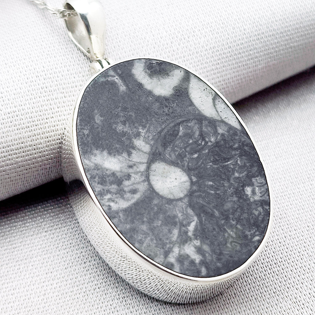 Hepburn and Hughes Fossilised Sea Creatures Pendant | Fossil Necklace | 30mm Oval | Sterling Silver