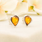 Hepburn and Hughes Genuine Baltic Amber Earrings | November Gift | Studs | Sterling Silver