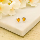 Hepburn and Hughes Genuine Baltic Amber Earrings | November Gift | Studs | Sterling Silver