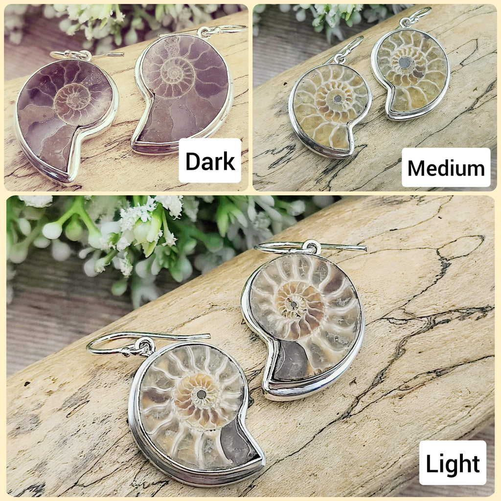 Hepburn and Hughes Madagascan Ammonite Earrings | Limited Edition | 3 Styles | Sterling silver