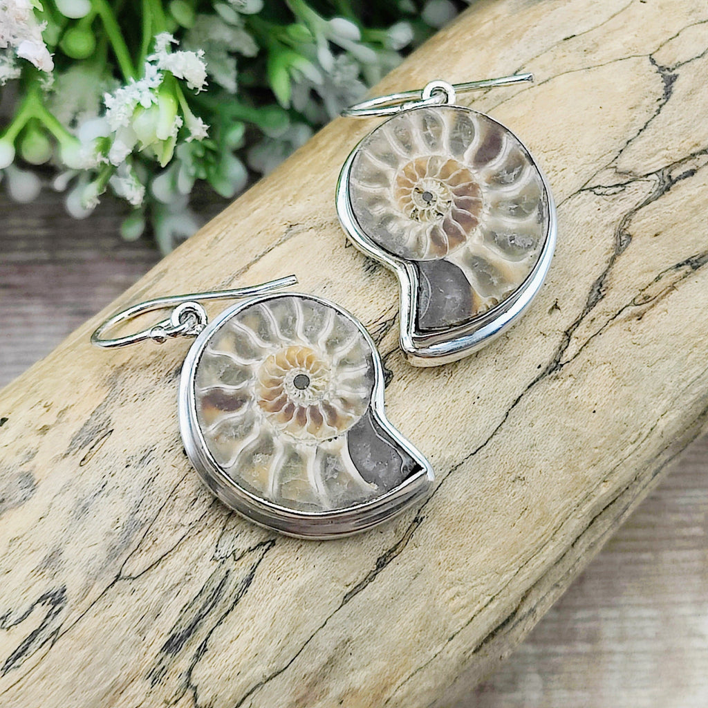 Hepburn and Hughes Madagascan Ammonite Earrings | Limited Edition | 3 Styles | Sterling silver