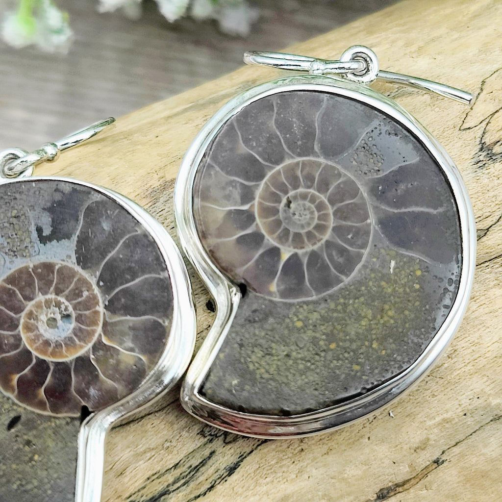 Hepburn and Hughes Madagascan Ammonite Earrings | Limited Edition | 30mm length | Sterling silver