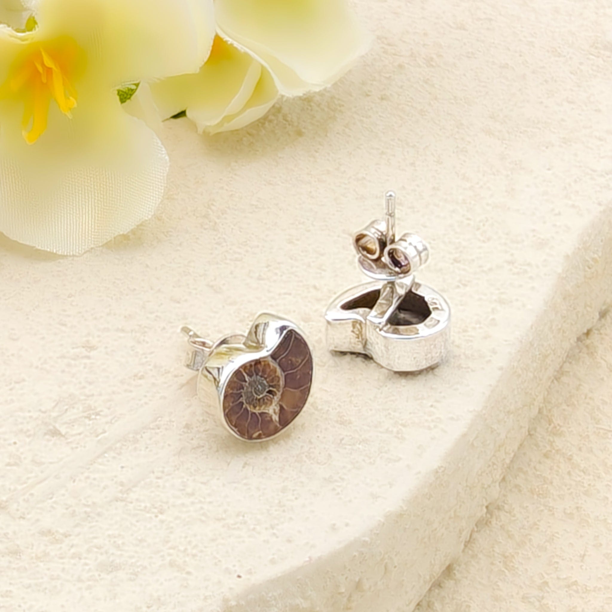 Hepburn and Hughes Madagascan Ammonite Earrings | Limited Edition Studs | 10mm length | Sterling silver