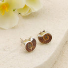 Hepburn and Hughes Madagascan Ammonite Earrings | Limited Edition Studs | 10mm length | Sterling silver