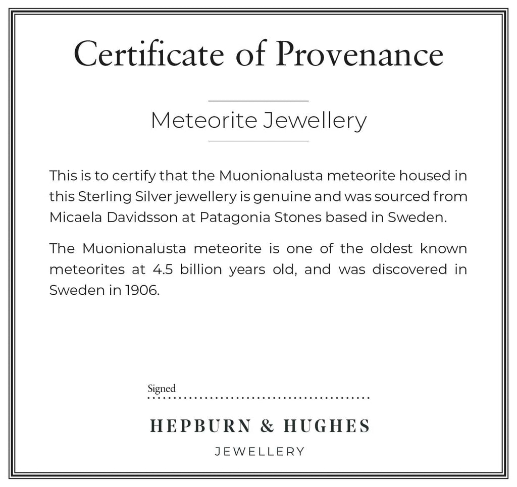 Hepburn and Hughes Meteorite Ring | Ladies and Men's sizes | Adjustable Ring | Sterling Silver