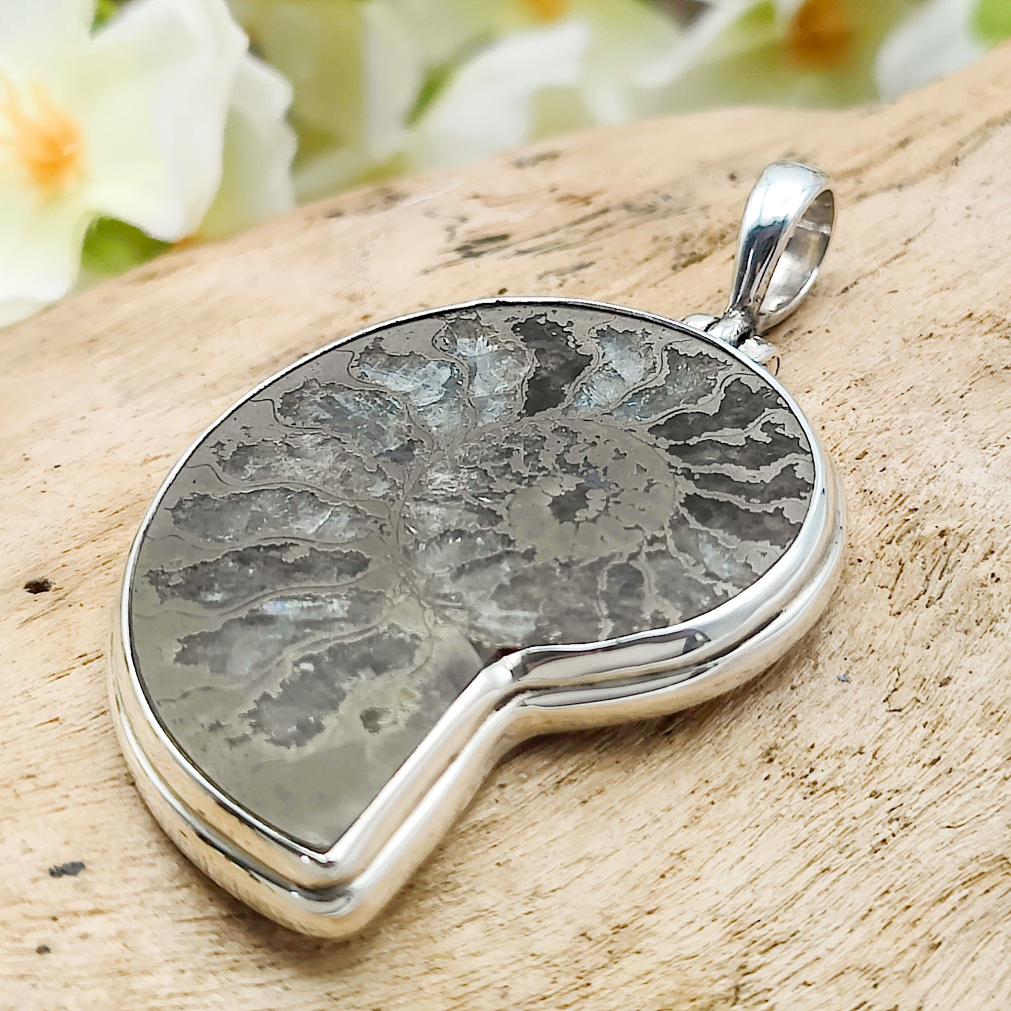 Hepburn and Hughes Pyrite Ammonite Pendant | 42mm | Sterling Silver