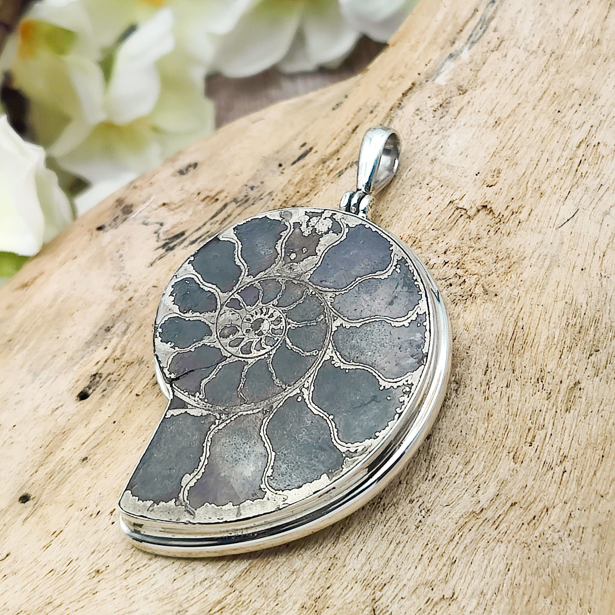 Hepburn and Hughes Pyrite Ammonite Pendant | 44mm | Sterling Silver