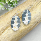 Hepburn and Hughes Seashell Earrings, Black oval Troca in Sterling Silver