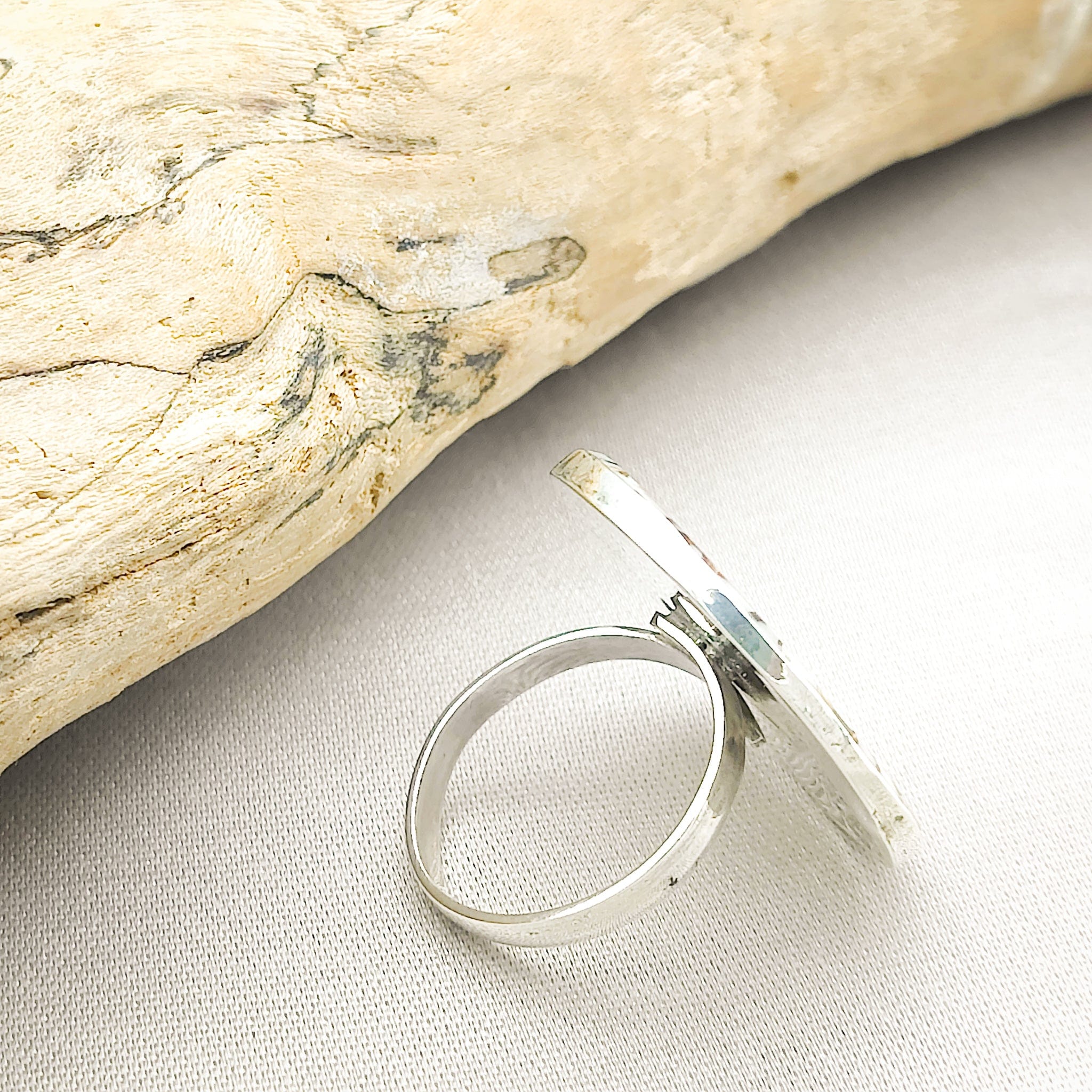 Hepburn and Hughes Seashell Ring | Circular Murex Shell | Sterling Silver