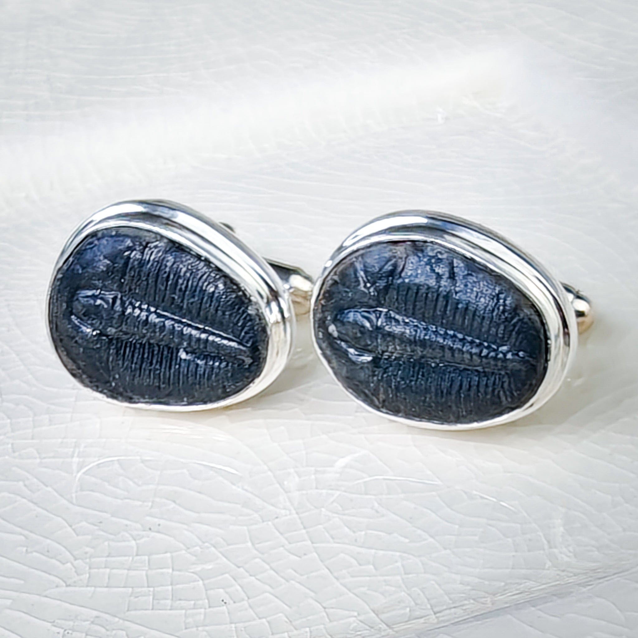 Hepburn and Hughes Trilobite Cufflinks | American Fossil Jewellery | Sterling Silver