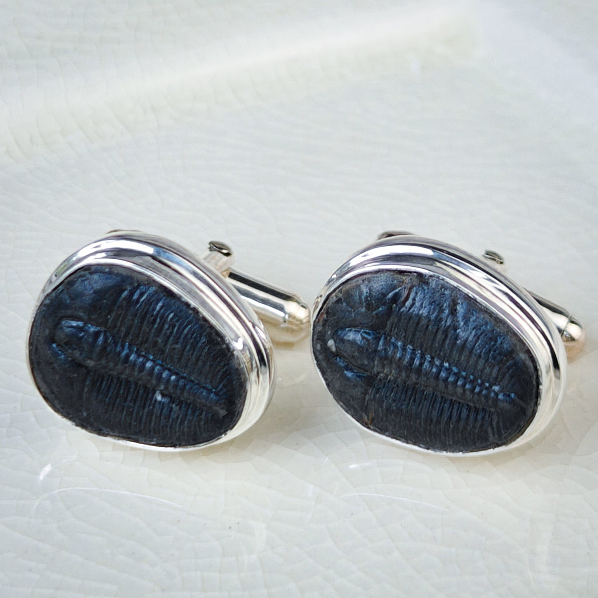 Hepburn and Hughes Trilobite Cufflinks | American Fossil Jewellery | Sterling Silver