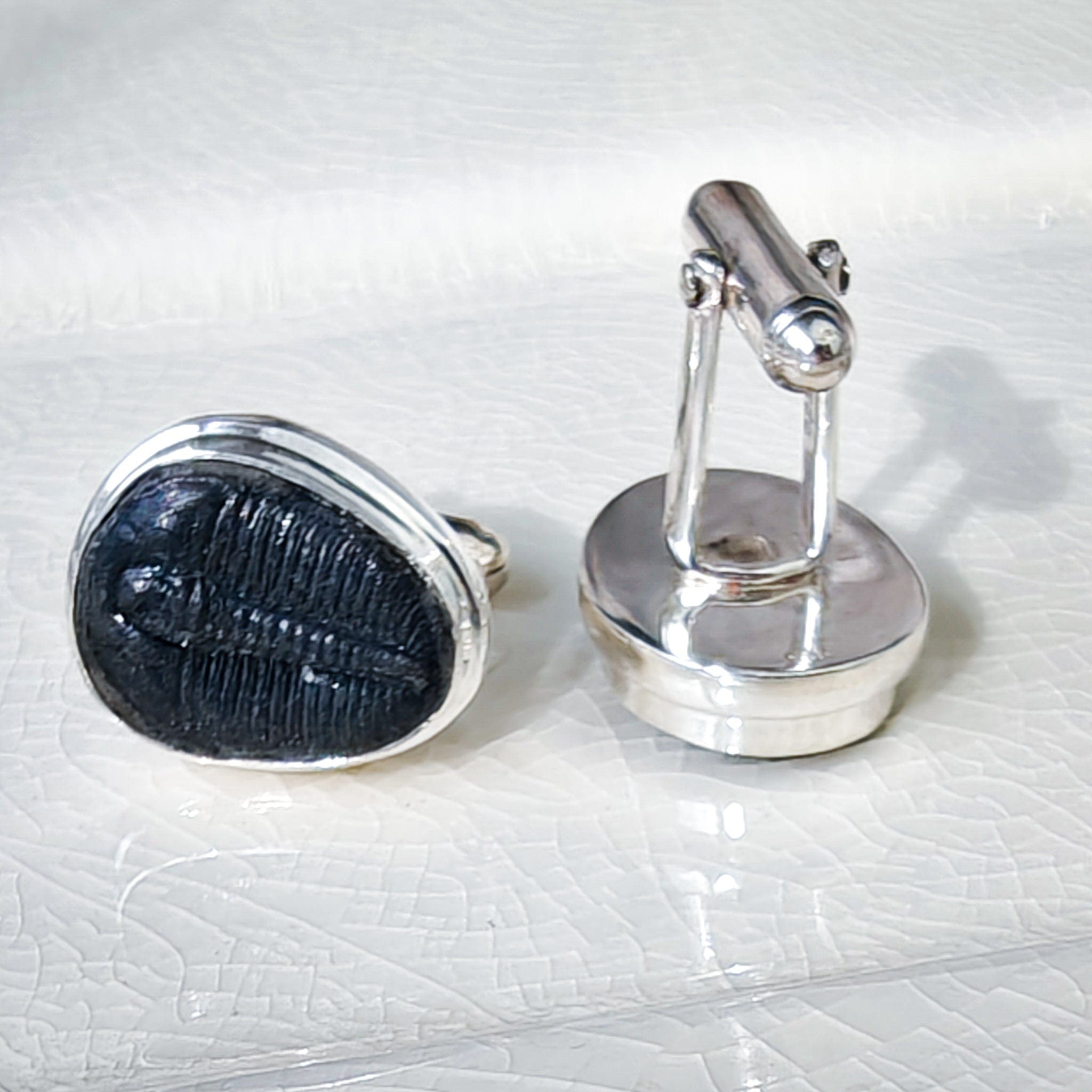 Hepburn and Hughes Trilobite Cufflinks | American Fossil Jewellery | Sterling Silver