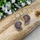 Hepburn and Hughes Ammonite Earrings | Madagascan Fossils | Sterling Silver