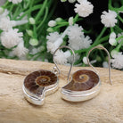 Hepburn and Hughes Ammonite Earrings | Madagascan Fossils | Sterling Silver