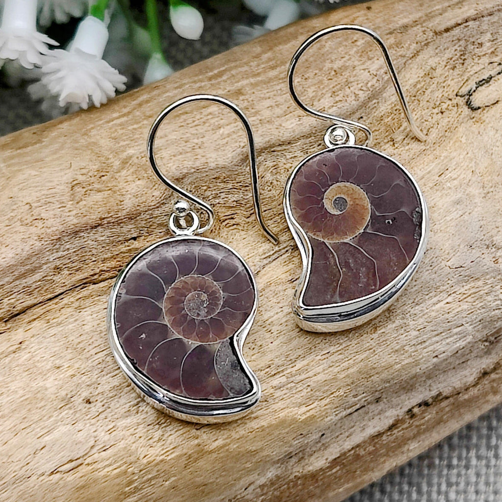 Hepburn and Hughes Ammonite Earrings | Madagascan Fossils | Sterling Silver