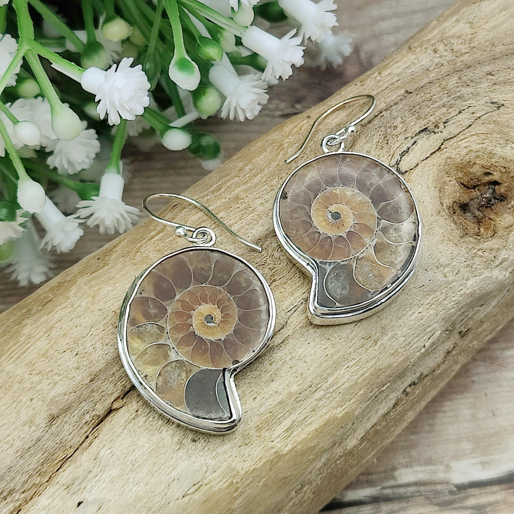 Hepburn and Hughes Ammonite Earrings | Madagascan light tones | fossil jewellery | Sterling Silver