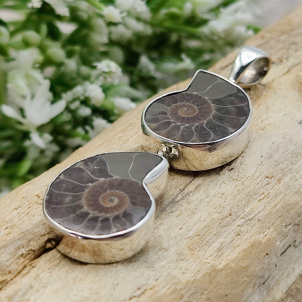 Hepburn and Hughes Ammonite Pendant, Double, Madagascan in Sterling Silver