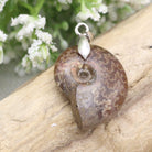 Hepburn and Hughes Ammonite Pendant, in Sterling Silver