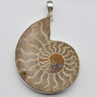 Hepburn and Hughes Ammonite Pendant, Large 60mm Madagascan in Sterling Silver