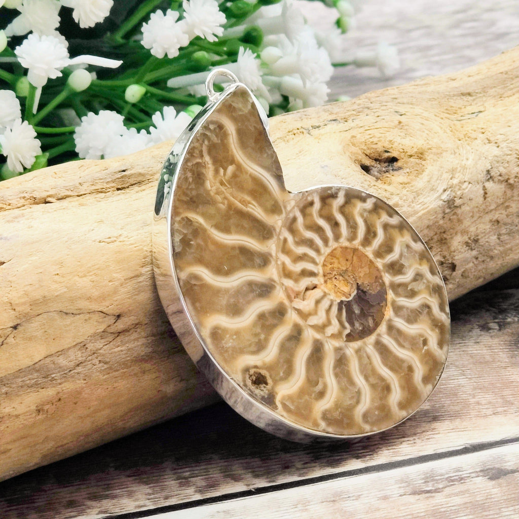 Hepburn and Hughes Ammonite Pendant, Large 60mm Madagascan in Sterling Silver