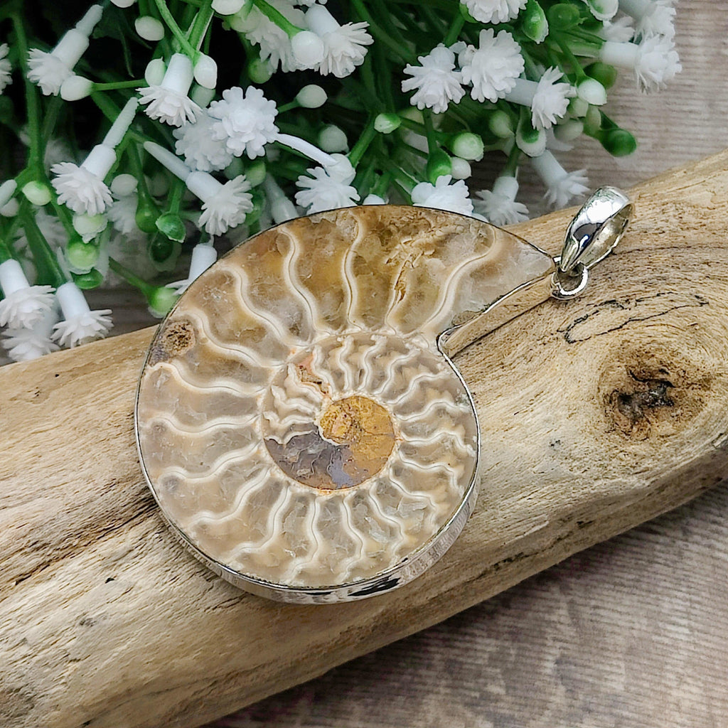 Hepburn and Hughes Ammonite Pendant, Large 60mm Madagascan in Sterling Silver