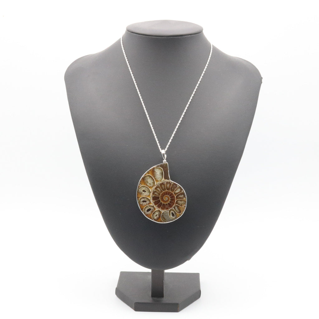 Hepburn and Hughes Ammonite Pendant | Large Madagascan | Sterling Silver