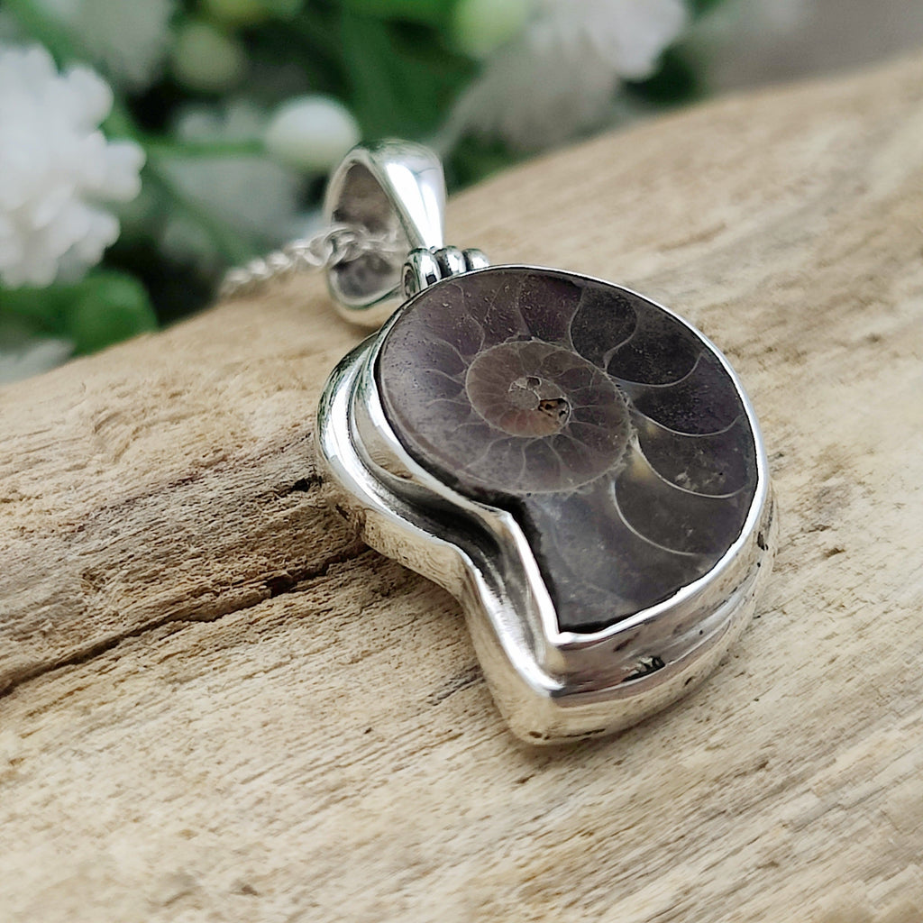 Hepburn and Hughes Ammonite Pendant | Small Madagascan | Sterling Silver