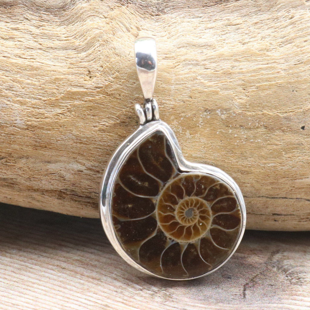 Hepburn and Hughes Ammonite Pendant | Small Madagascan | Sterling Silver