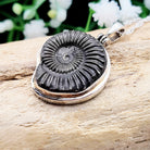 Hepburn and Hughes Ammonite Pendant | Small Promicroceras | Fossil Necklace | Sterling Silver