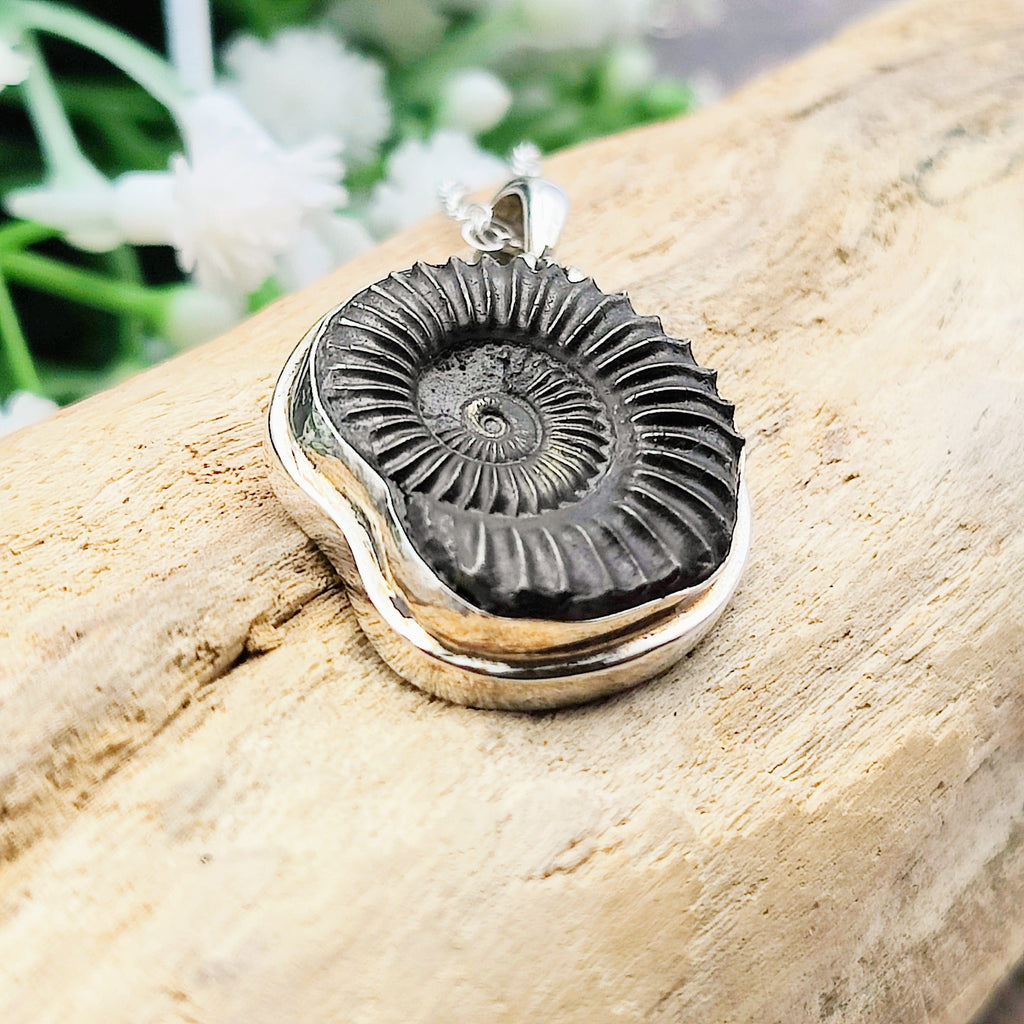 Hepburn and Hughes Ammonite Pendant | Small Promicroceras | Fossil Necklace | Sterling Silver
