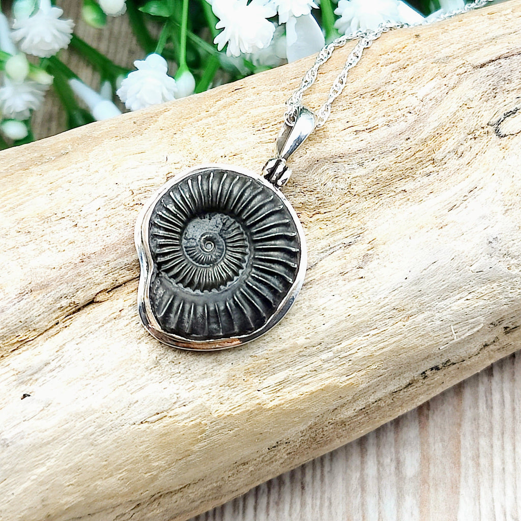 Hepburn and Hughes Ammonite Pendant | Small Promicroceras | Fossil Necklace | Sterling Silver