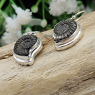 Hepburn and Hughes Ammonite Promicroceras Earrings | 3 sizes | Sterling Silver