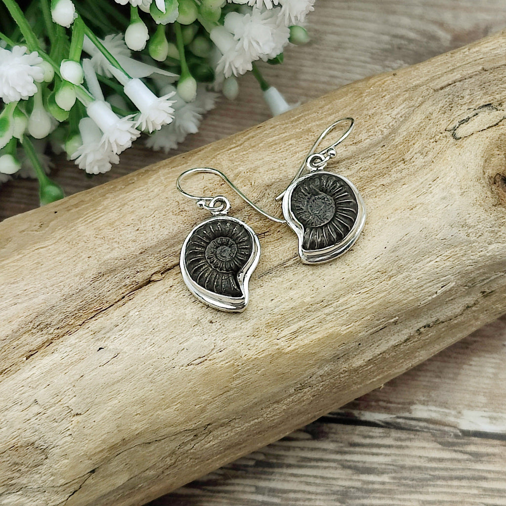 Hepburn and Hughes Ammonite Promicroceras Earrings | 3 sizes | Sterling Silver
