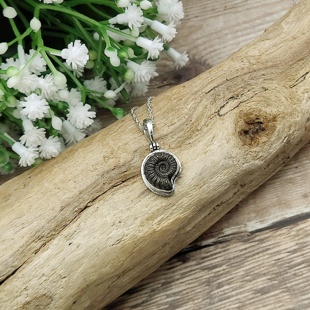 Hepburn and Hughes Ammonite Promicroceras Pendant | Extra Small Fossil Necklace | Sterling Silver
