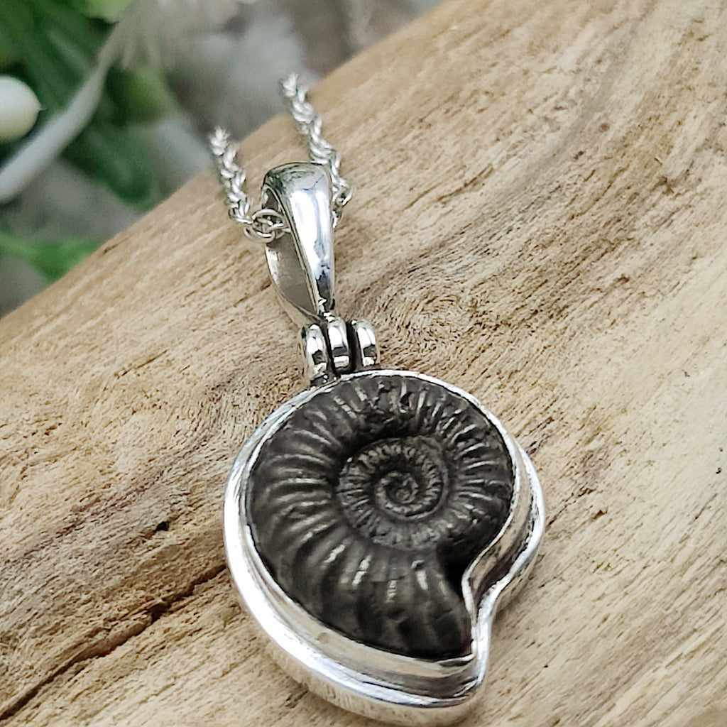 Hepburn and Hughes Ammonite Promicroceras Pendant | Extra Small Fossil Necklace | Sterling Silver