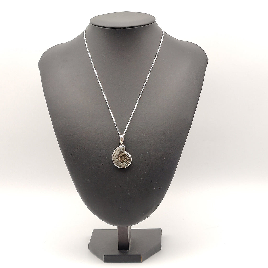 Hepburn and Hughes Ammonite Promicroceras Pendant | Fossil Necklace | Sterling Silver