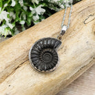 Hepburn and Hughes Ammonite Promicroceras Pendant | Fossil Necklace | Sterling Silver