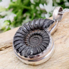 Hepburn and Hughes Ammonite Promicroceras Pendant | Fossil Necklace | Sterling Silver