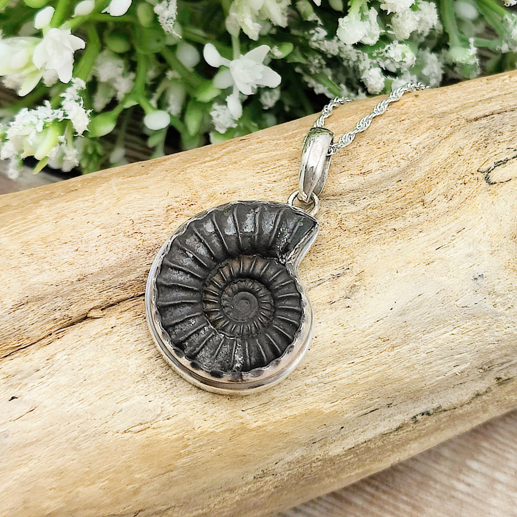 Hepburn and Hughes Ammonite Promicroceras Pendant | Fossil Necklace | Sterling Silver