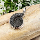 Hepburn and Hughes Ammonite Promicroceras Pendant | Fossil Necklace | Sterling Silver