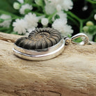 Hepburn and Hughes Ammonite Promicroceras Pendant |  Fossil Necklace | Sterling Silver