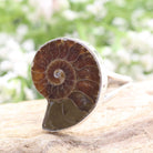 Hepburn and Hughes Ammonite Ring, Madagascan in Sterling Silver