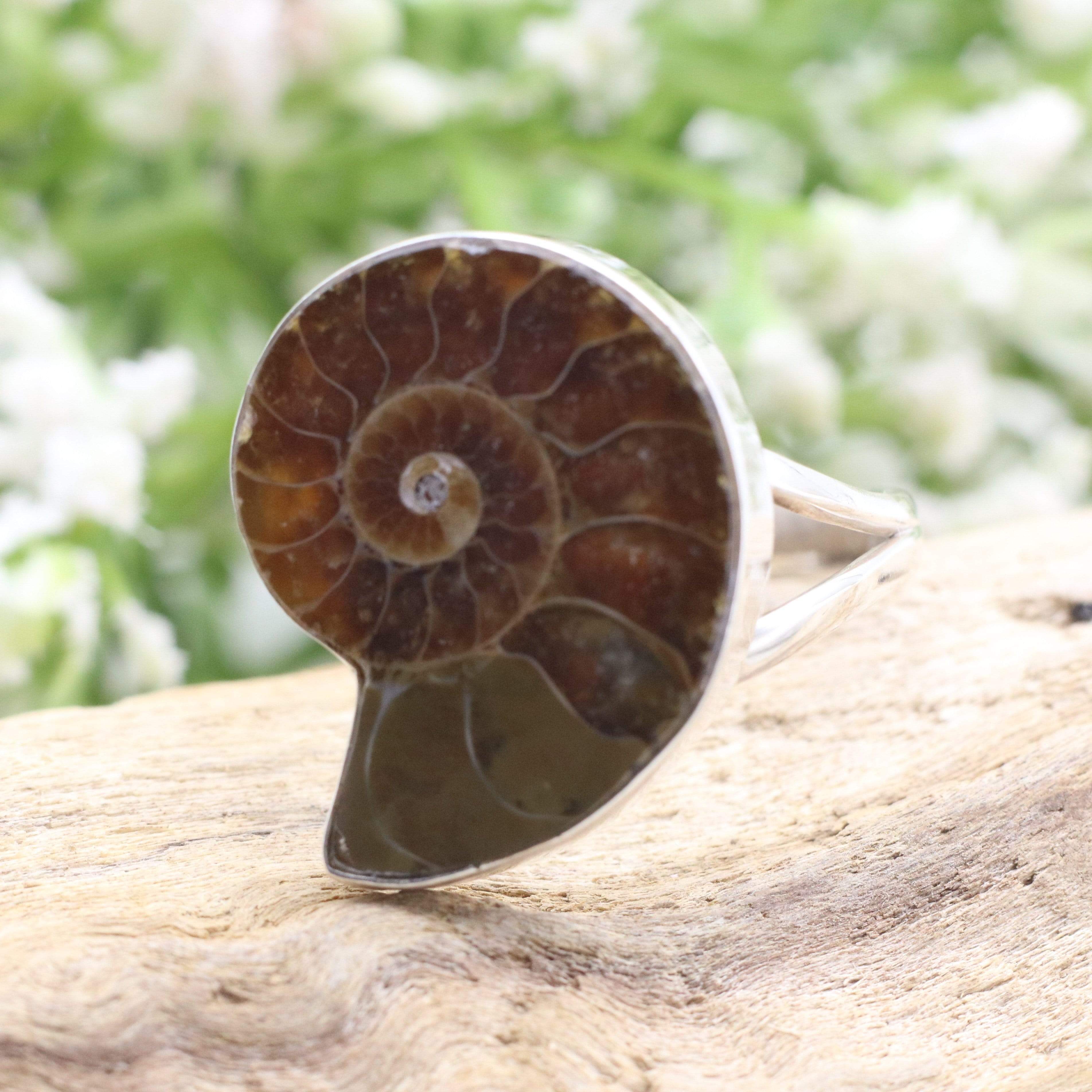 Hepburn and Hughes Ammonite Ring, Madagascan in Sterling Silver