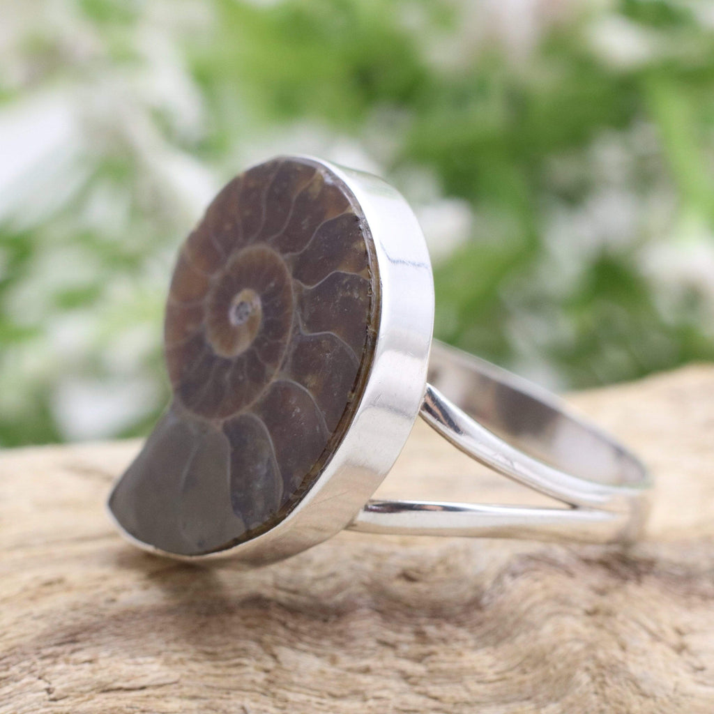 Hepburn and Hughes Ammonite Ring, Madagascan in Sterling Silver