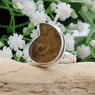 Hepburn and Hughes Ammonite Ring | Medium tone Madagascan | Sterling Silver