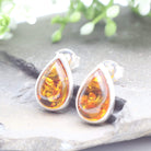 Hepburn and Hughes Baltic Amber Earrings, stud teardrop in Sterling Silver