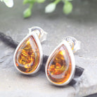 Hepburn and Hughes Baltic Amber Earrings, stud teardrop in Sterling Silver