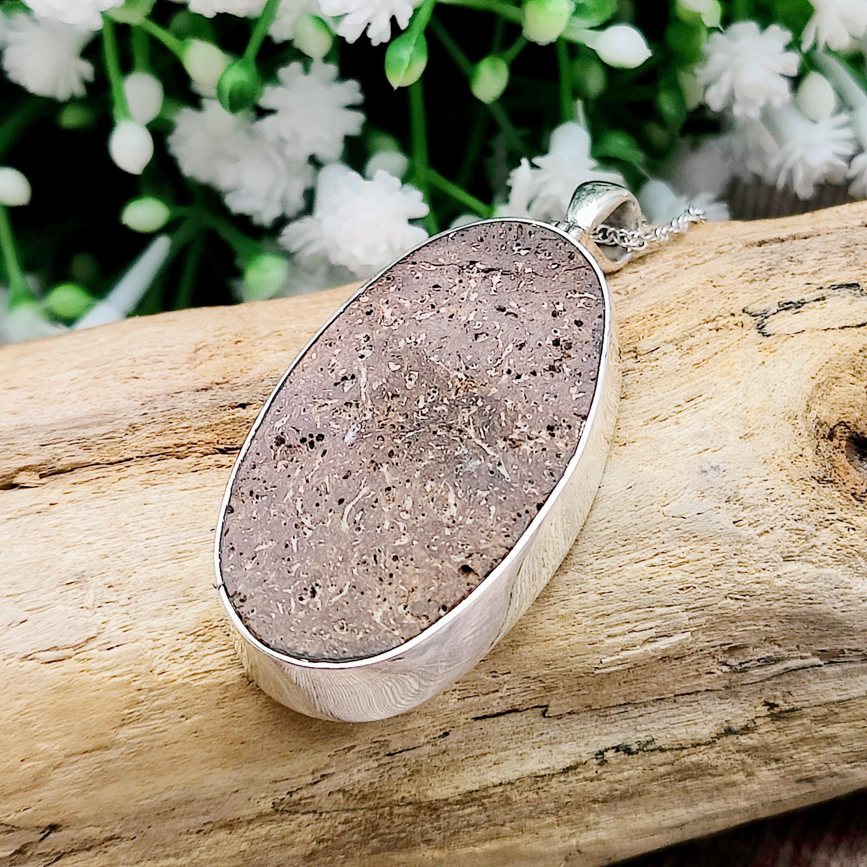 Hepburn and Hughes Dinosaur Bone Pendant | Fossilised Jewellery | Triceratops | Large Oval | Sterling Silver